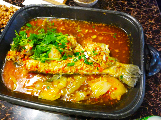 火遍全国的美食项目，你们pick哪一个呢？